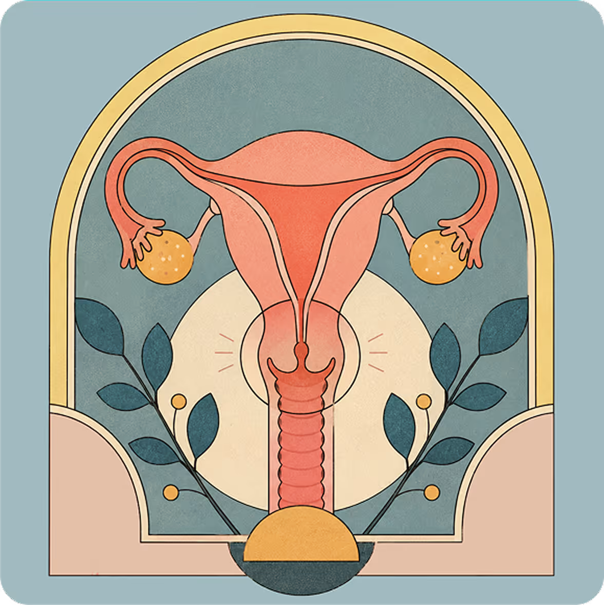 Stylized illustration of the female reproductive system: uterus, fallopian tubes, ovaries, cervix and vagina among leaves.