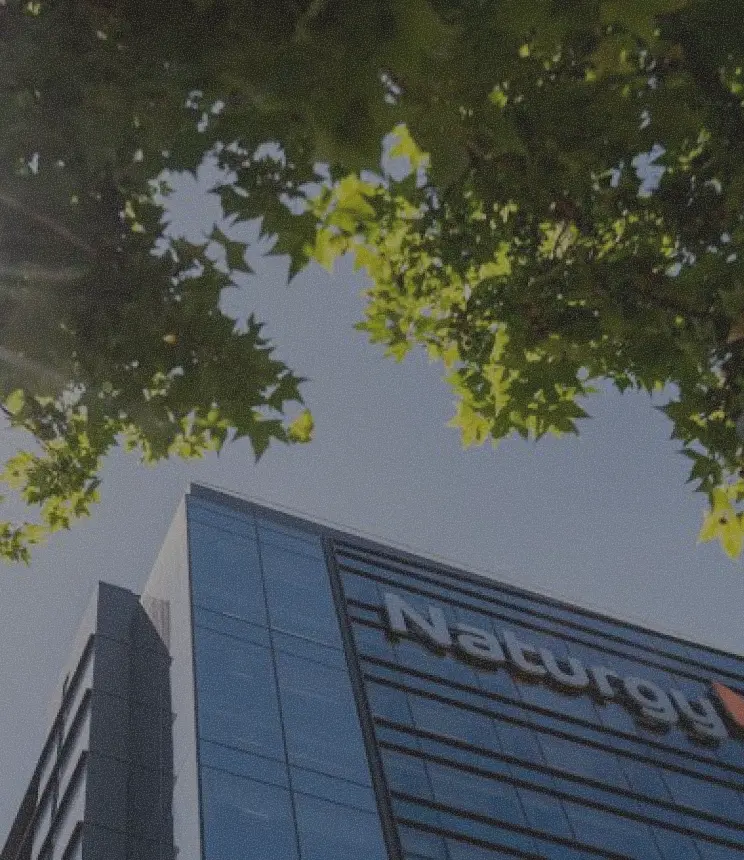 Naturgy headquarters building framed by tree leaves, Naturgy customer story.