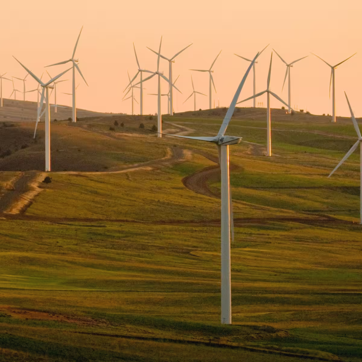 Wind turbines spread across rolling green hills at sunset.