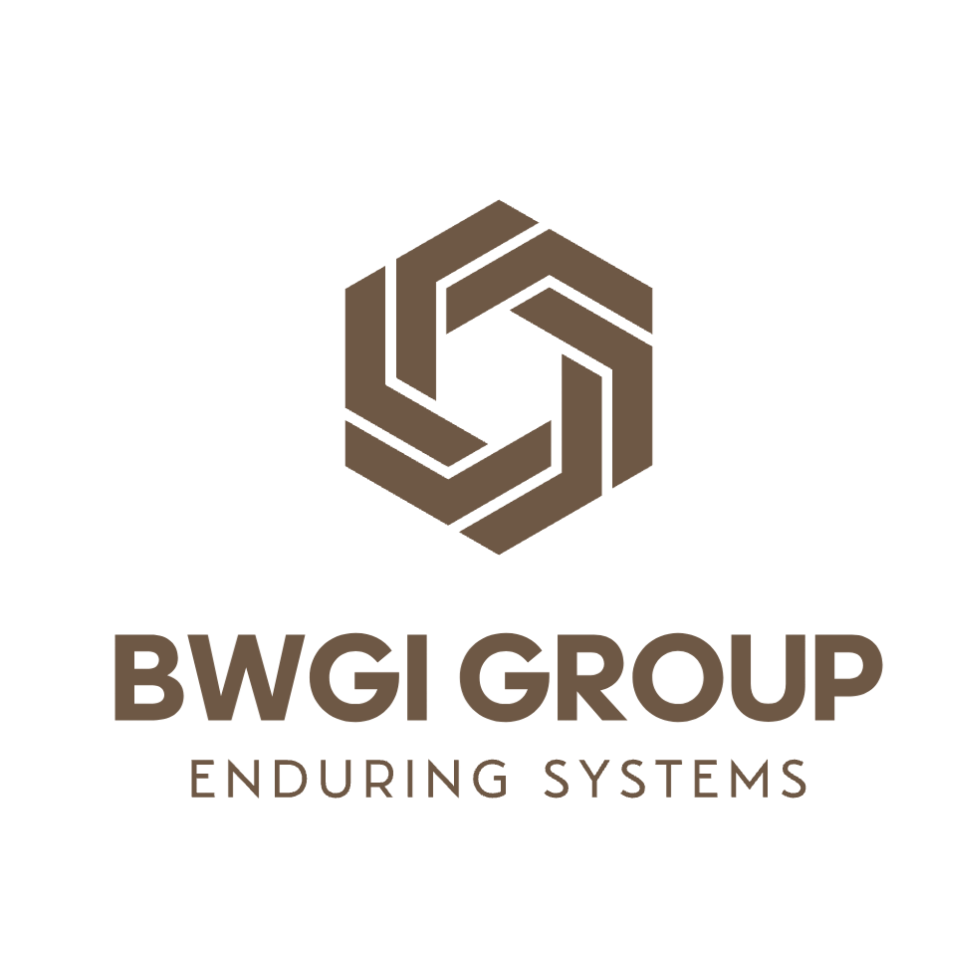 BWGI Group logo with a hexagonal geometric symbol above the text Enduring Systems.