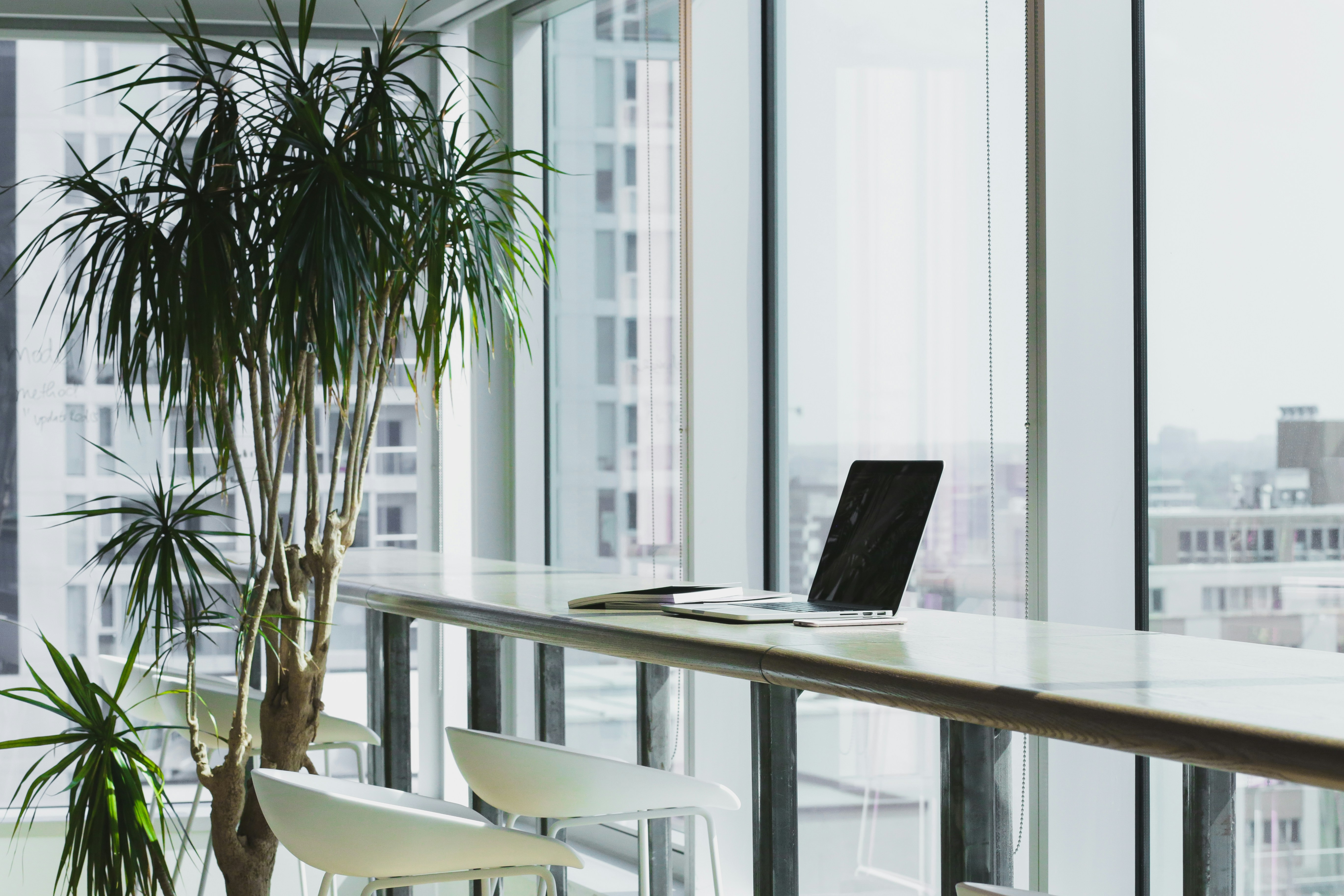 Modern office space with a laptop, notebook, phone on a bar table, and tall green plant by window.