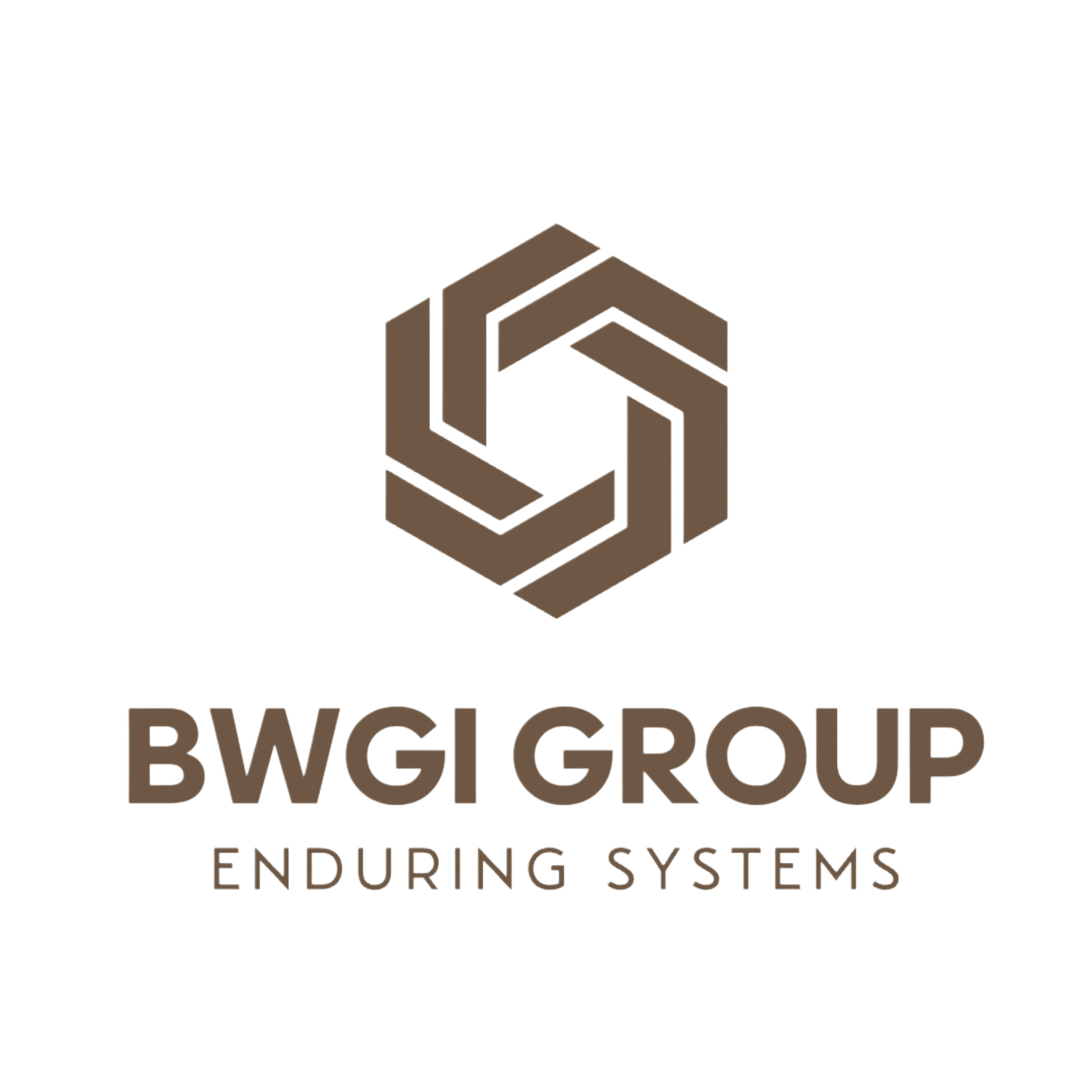 BWGI Group logo with a hexagonal geometric icon and the slogan Enduring Systems below the name.
