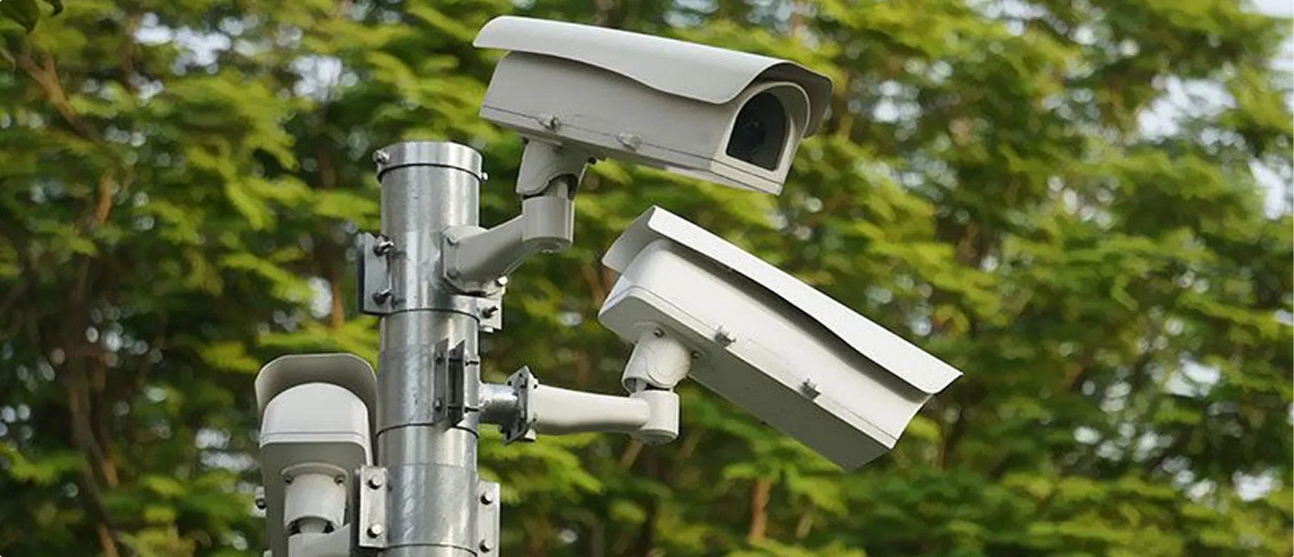 Three white surveillance cameras mounted on a metal pole with green tree foliage in the background.