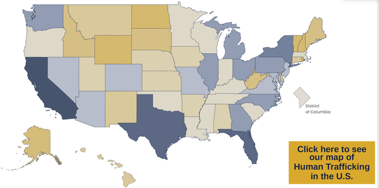 Map of human trafficking cases by U.S. state. Click here to see our map of Human Trafficking in the U.S.
