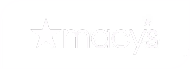 Logo Ambassador