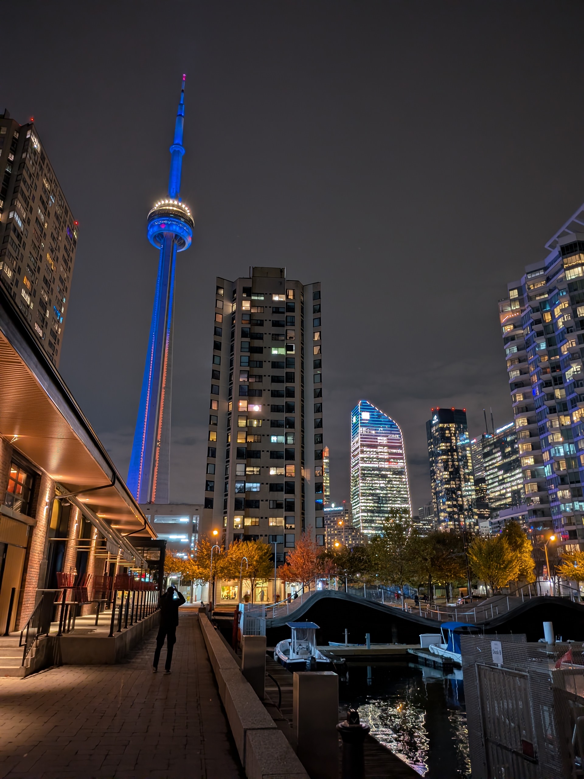 Toronto skyline and the CN Tower at night