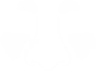 Sinus Congestion Icon