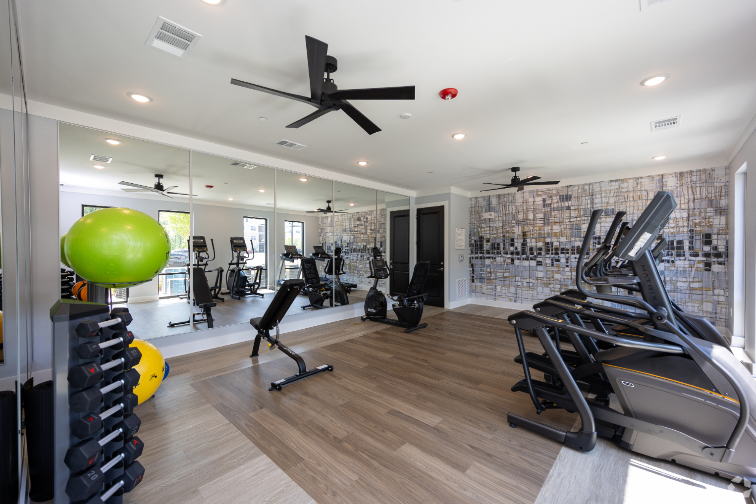 Gym with treadmills and yoga balls