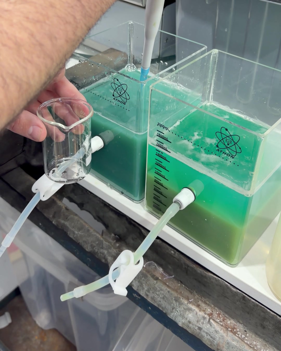 Eine abgemessene Dosis wird mit einer Pipette in den Tank gegeben