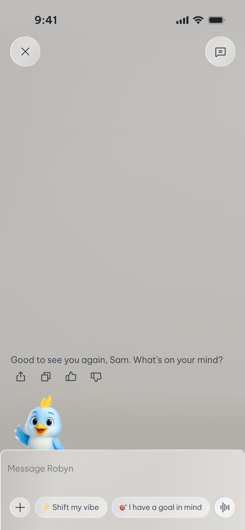 Robyn chat input screen