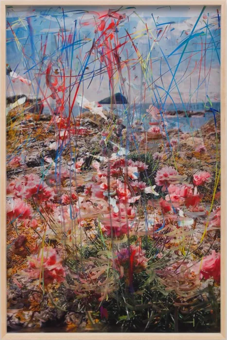 John Deere collection management tool, Petra Cortright, 2017