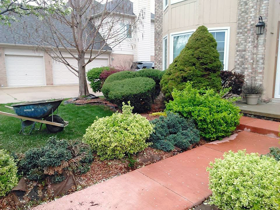 heritage landscape Professional landscaping service showcasing comprehensive shrub trimming, garden bed maintenance, and site cleanup alongside a walkway.