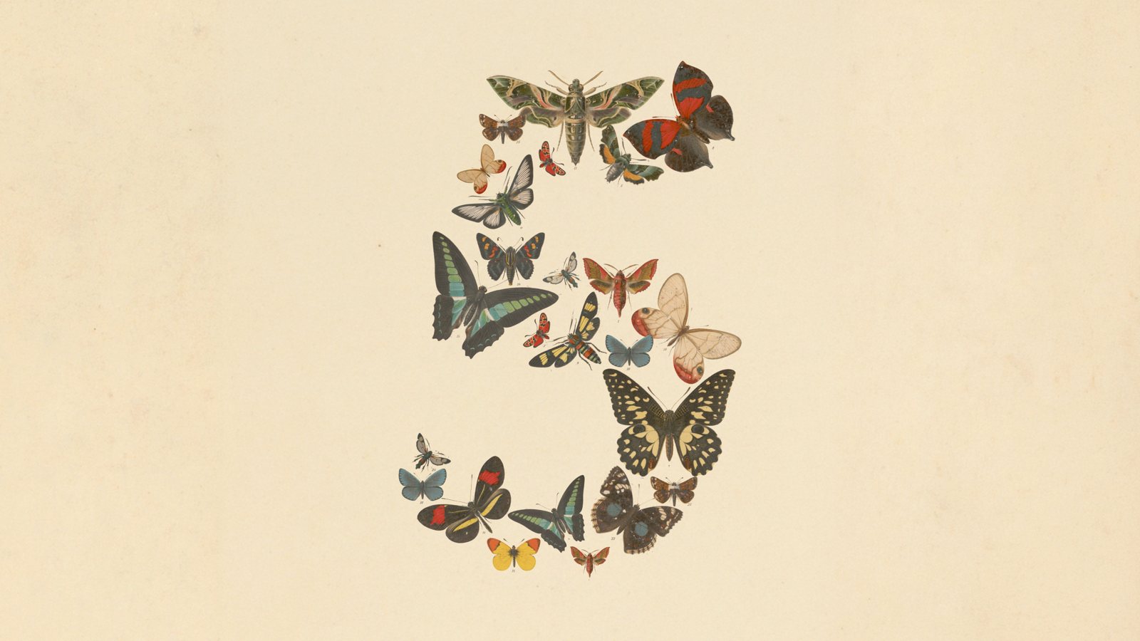 Anthropic’s launch artwork for Claude Fable 5, butterflies forming a numeral five