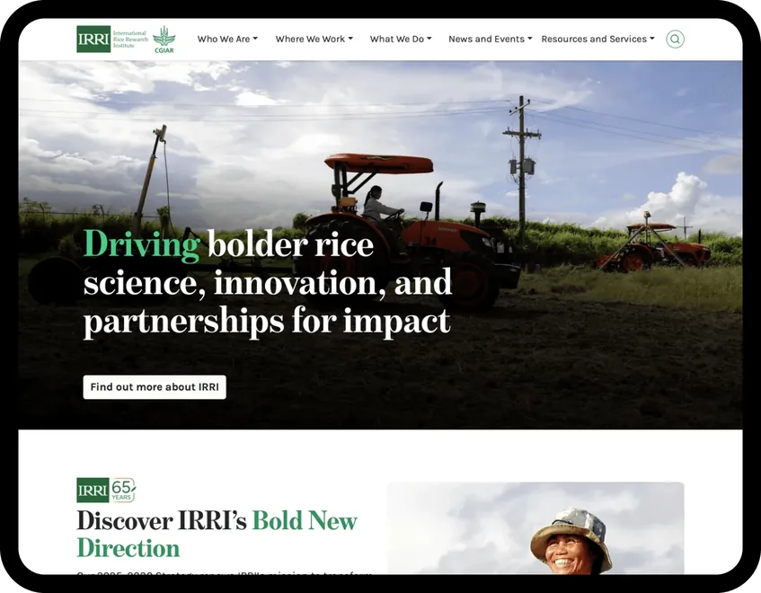 The International Rice Research Institute