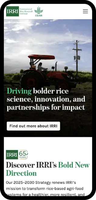 The International Rice Research Institute