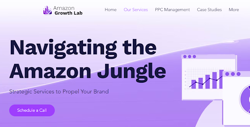 Amazon Growth Lab