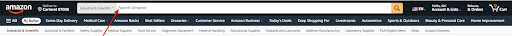 Amazon Search Bar
