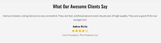 Client review for Vserve Amazon Seller Central Management agency