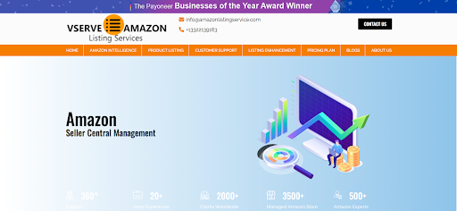 Vserve Amazon Seller Central Management agency