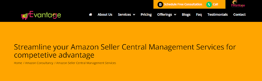 Evantage Amazon Seller Central Management agency