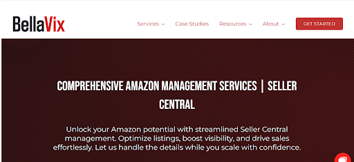 BellaVix Amazon Seller Central Management agency