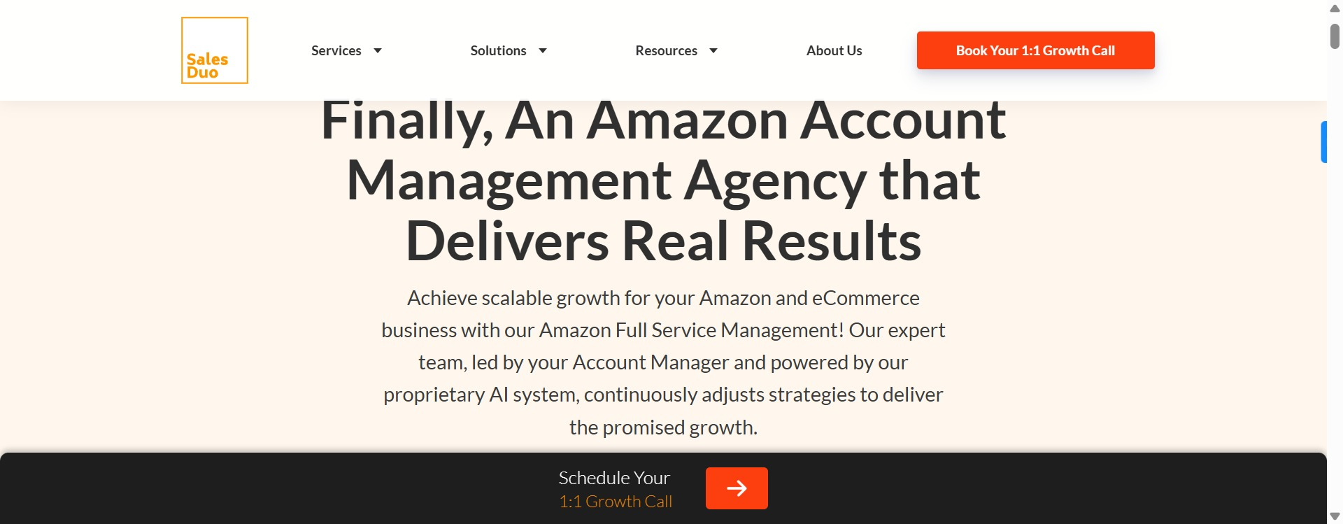 Image of SalesDuo’s homepage