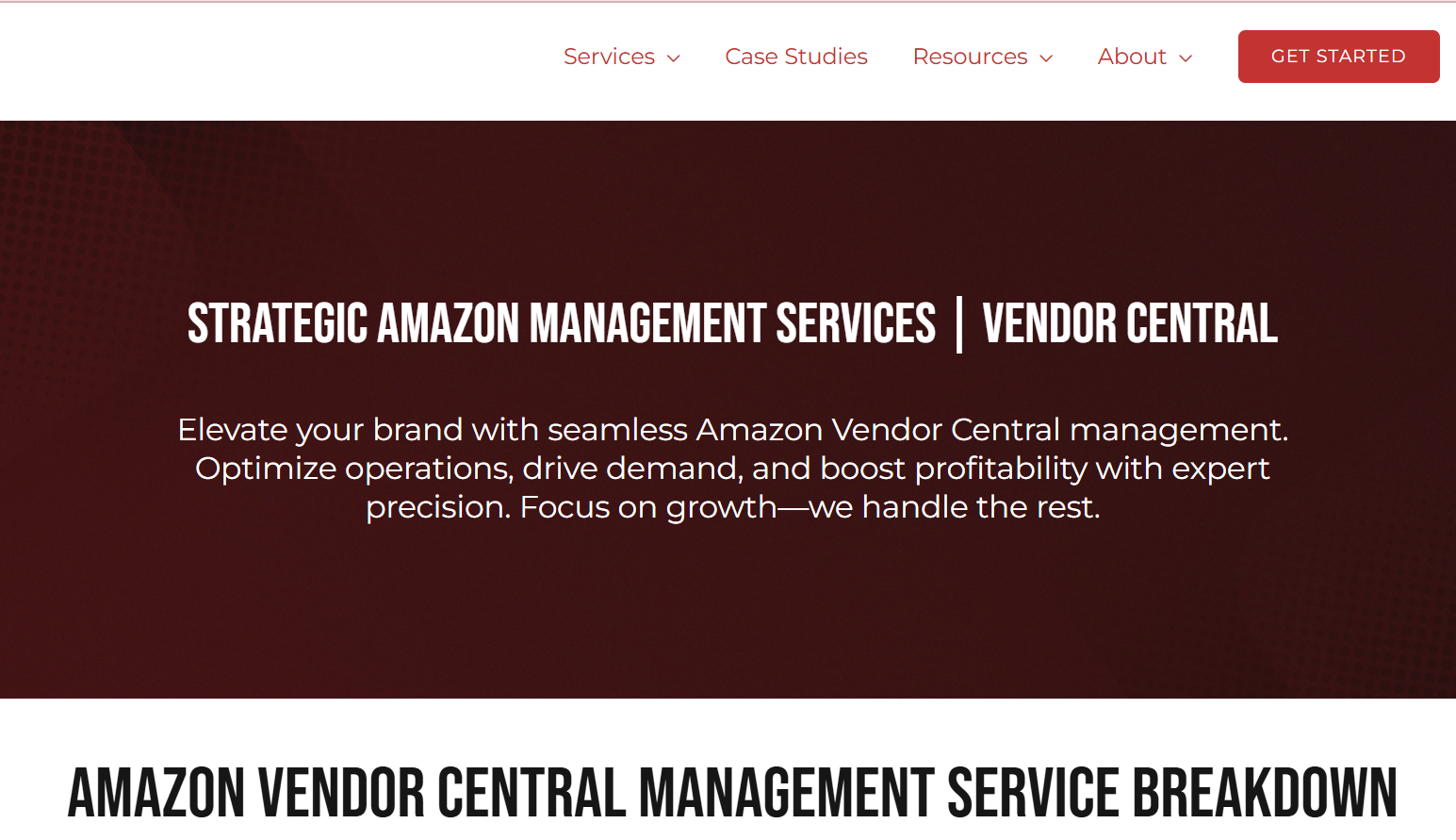Amazon Vendor Central Services by BellaVix
