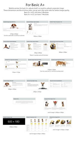 Amazon Basic A+ Page Modules