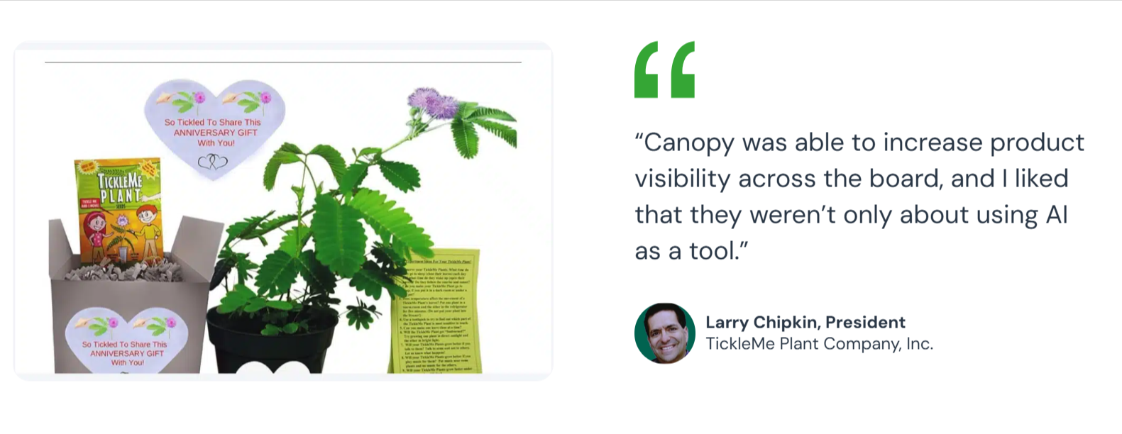 Canopy Management Walmart Marketplace Consultant client review