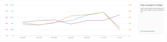 SKOY Amazon Ads performance graph for the months of January to July, with competitor campaigns for Cloth and Scrub. 34% ACoS, 2X sales for Cloth, 734K impressions. 20% ACoS, 3X sales, 5 ROAS for Scrub.