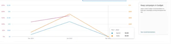 SKOY Amazon Ads graph showing the Q1 2022 manual competitor-keyword campaign for scrub and cloth products, which reached a 158% ACoS before being paused.