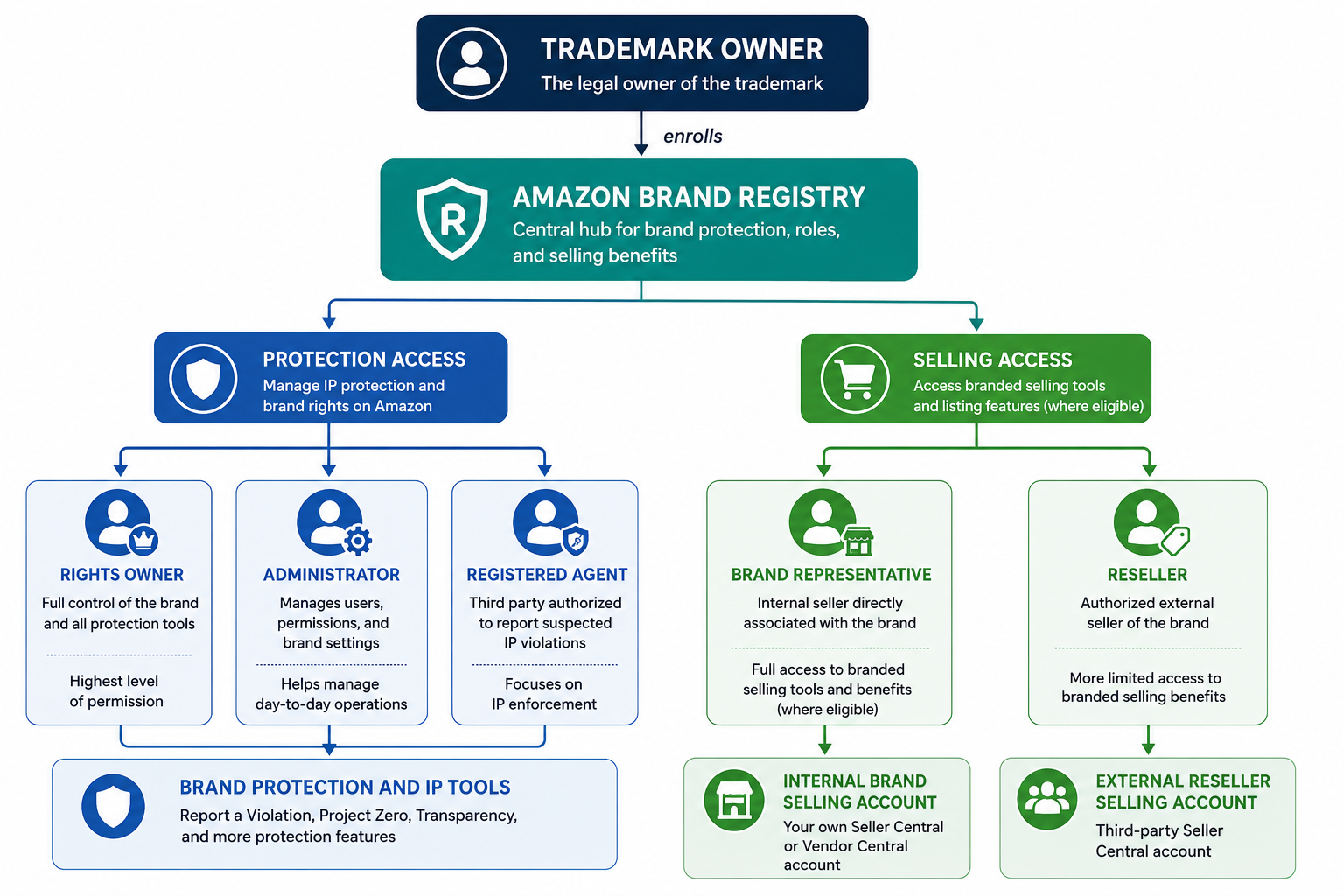 Amazon Brand Registry role map showing how the trademark owner connects protection roles and selling roles to authorized users and selling accounts.