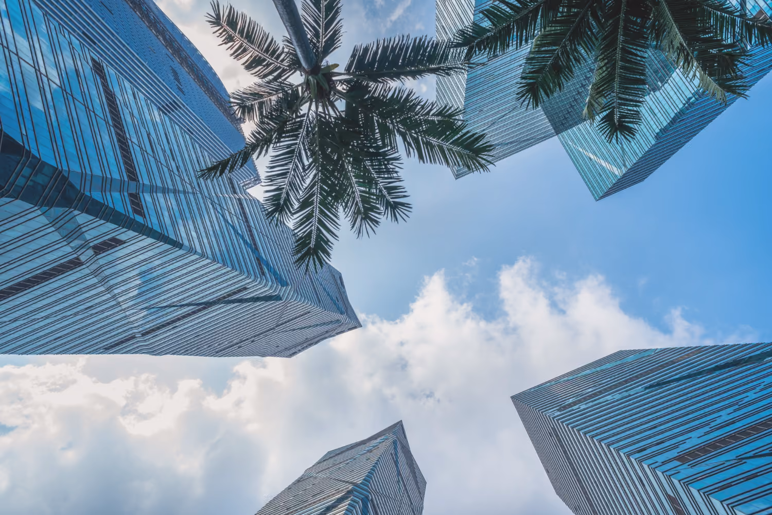 Modern high-rise buildings representing property and capital decisions