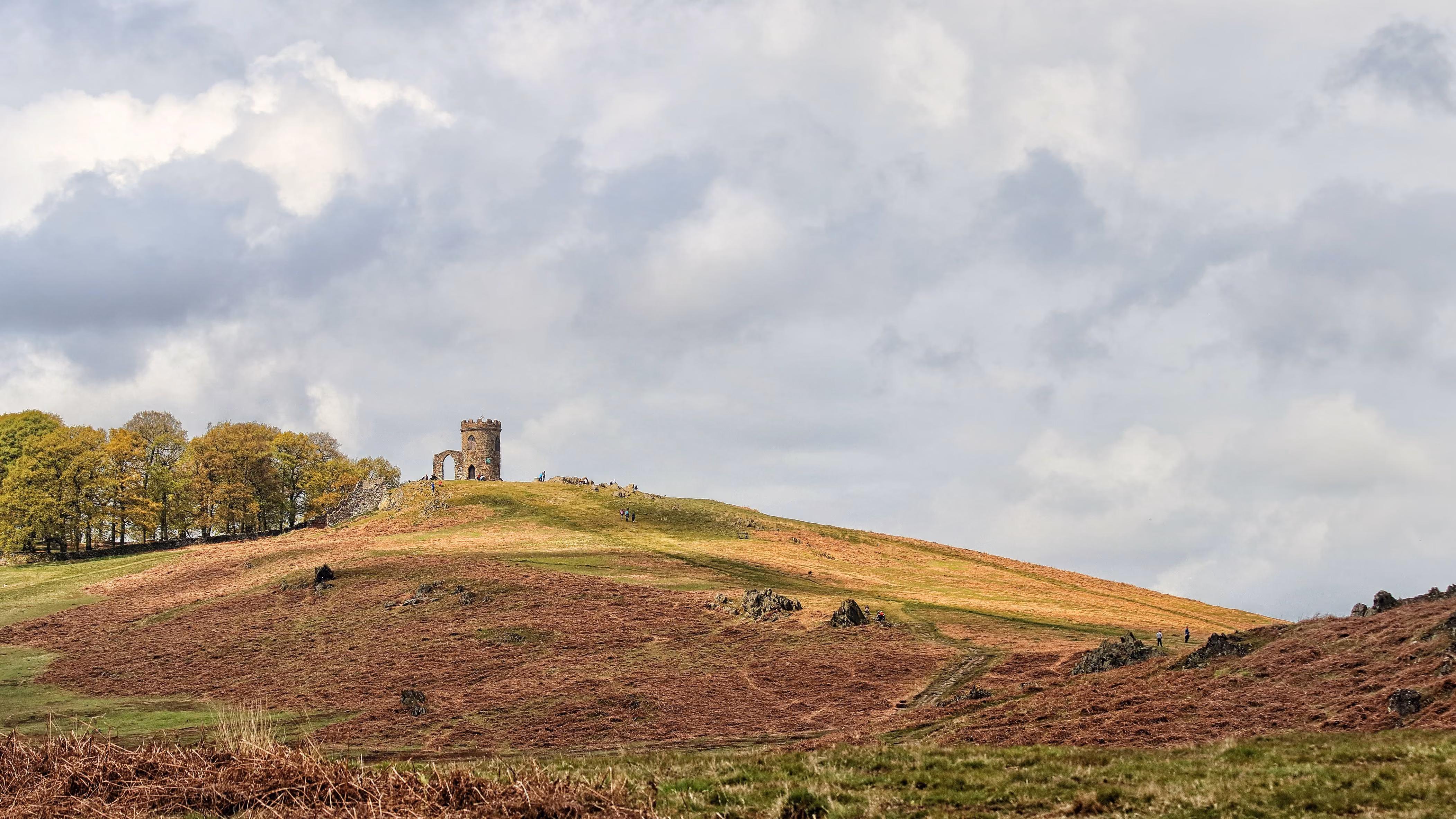 Bradgate Park in the National Forest, Leicestershire