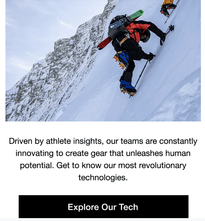 thank you email example the north face 2