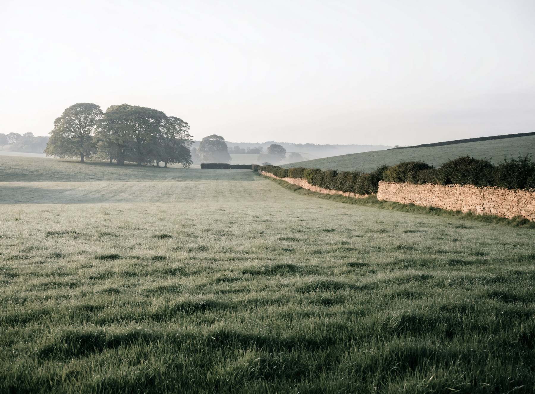 An open field being appraised as a development site