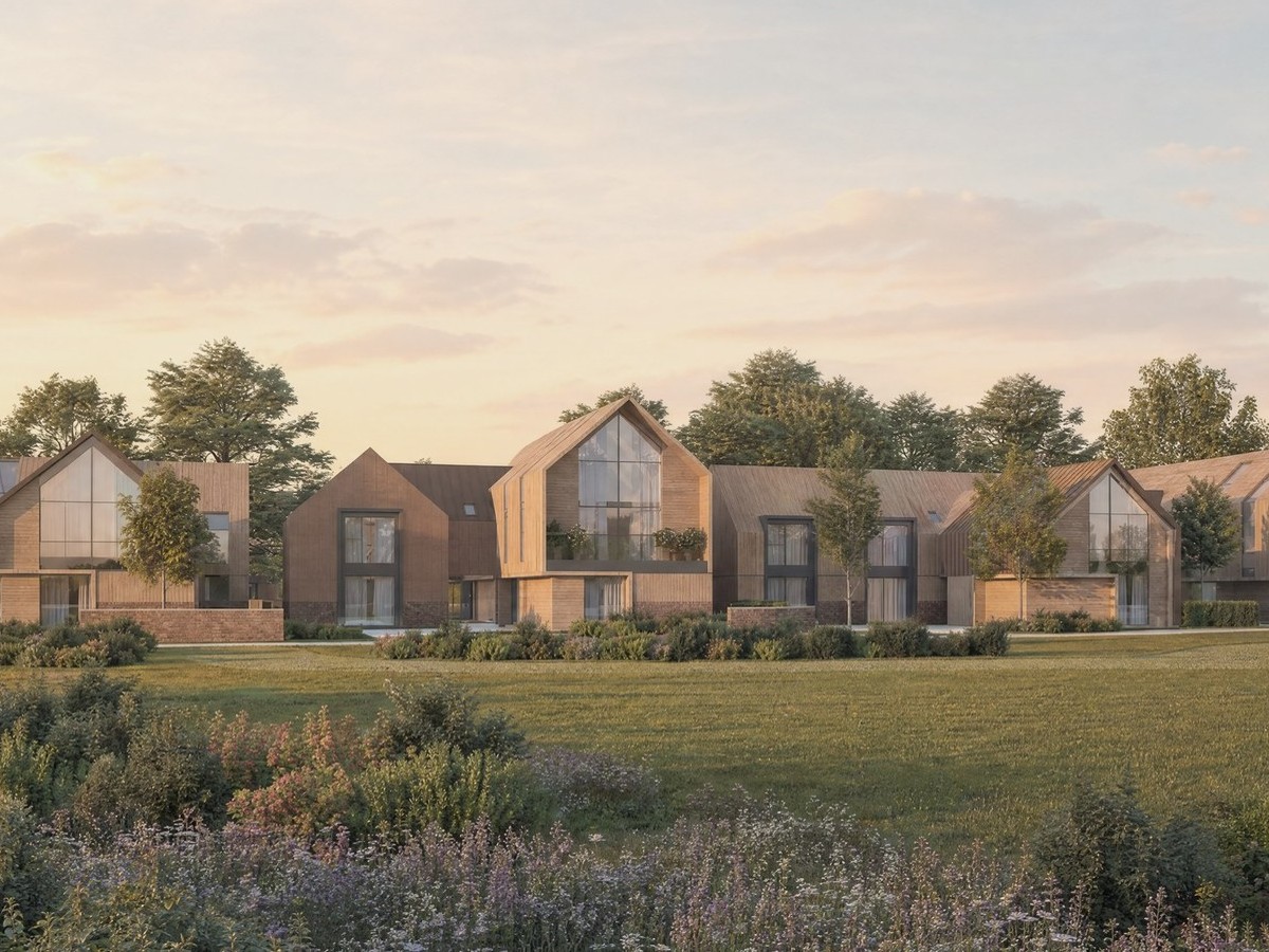 Visualisation of a housing scheme of timber-clad homes set around a meadow