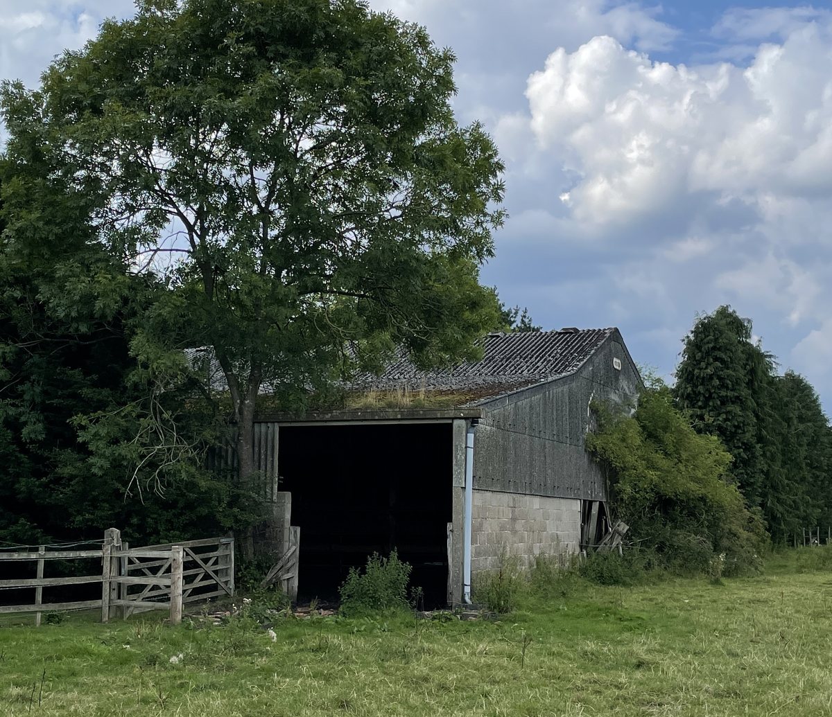 The barn at High Chimneys Farm as found in 2021: a redundant agricultural building of corrugated sheet over a blockwork base, its full-height bay standing open and dark, an ash tree overhanging the roof, with a post-and-rail fence and gate running in from the left across a mown field