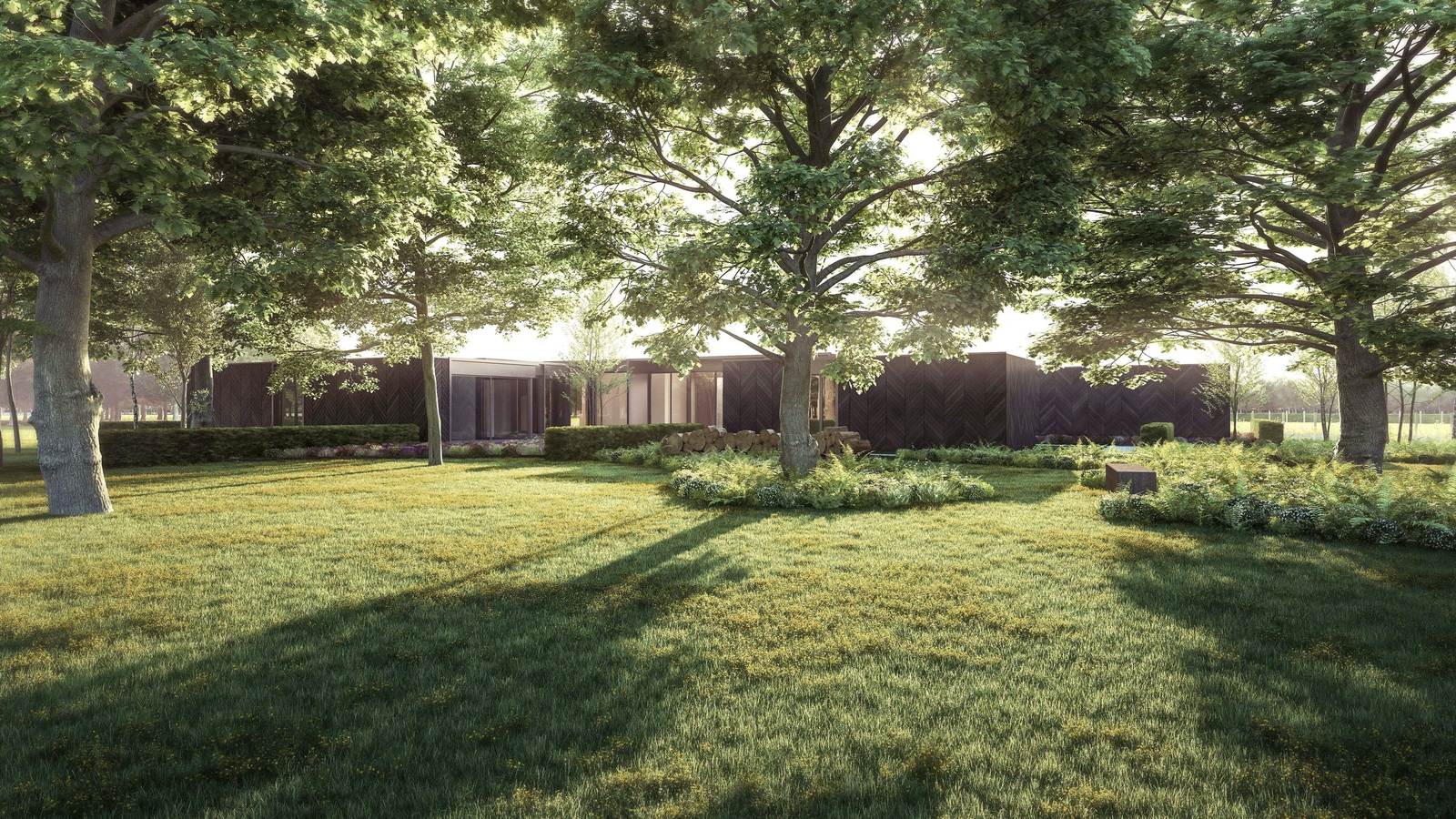 Pre-application visualisation of the proposed home at Highlands Farm, Offchurch: low volumes clad in dark charred timber glimpsed through mature parkland trees, across grassland in dappled morning light
