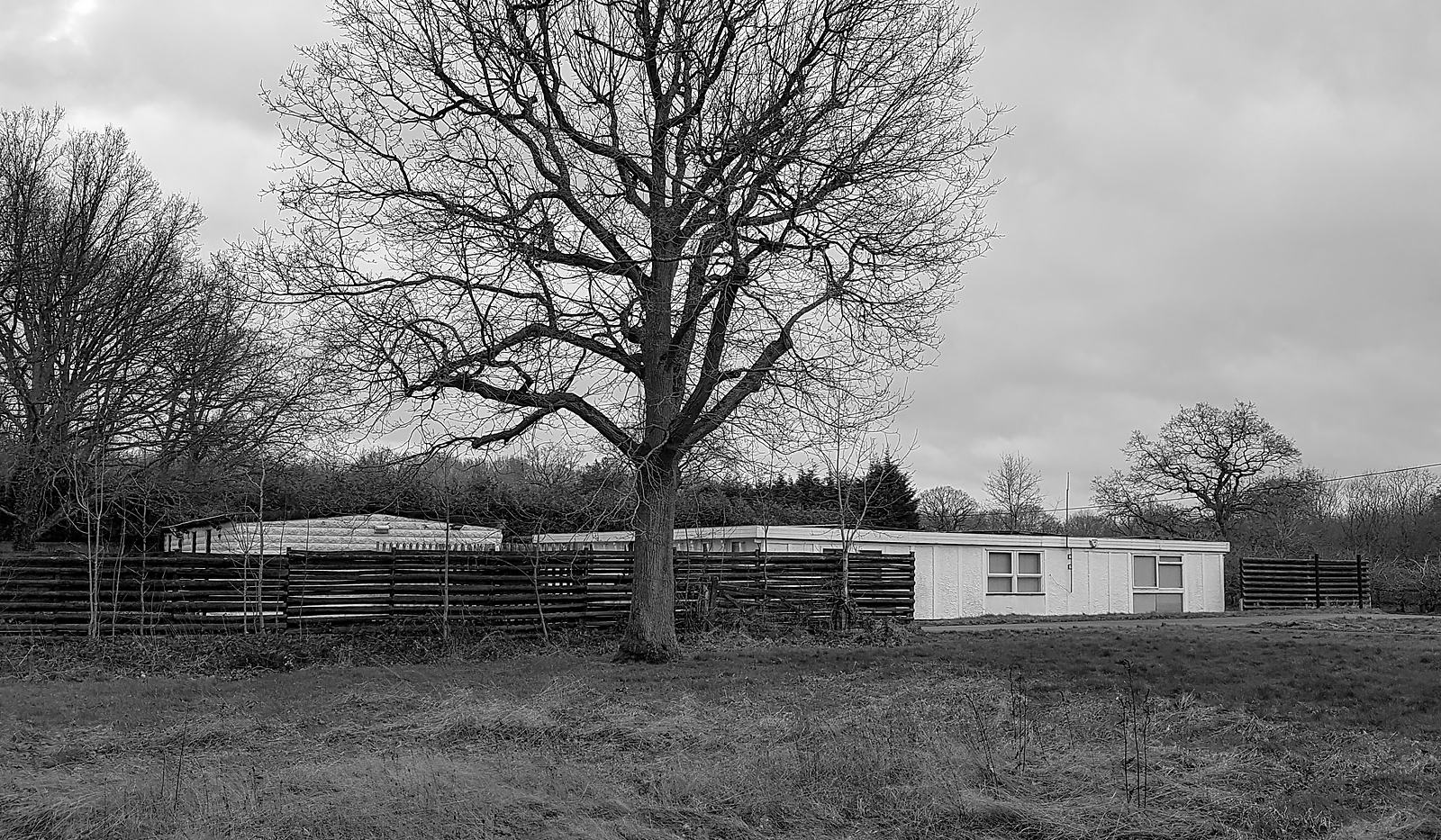 Black and white photograph of the site's setting in March 2019: a mature oak standing in rough grass beside a horizontal rail fence, with the low white flat-roofed buildings of the compound and open Warwickshire countryside beyond