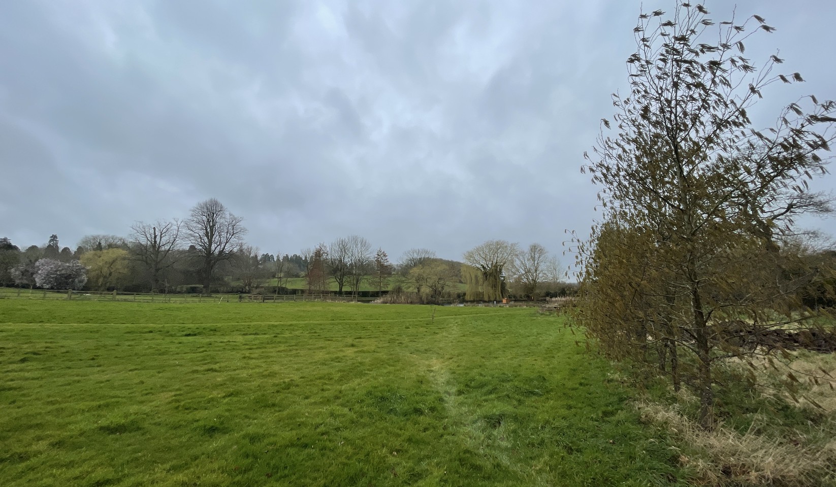 Photograph of a flat green field under a grey sky, a line of young trees on the right, a hedge and mature trees along the far side with the roofs of houses beyond