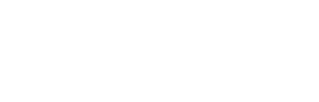 2020INC logo