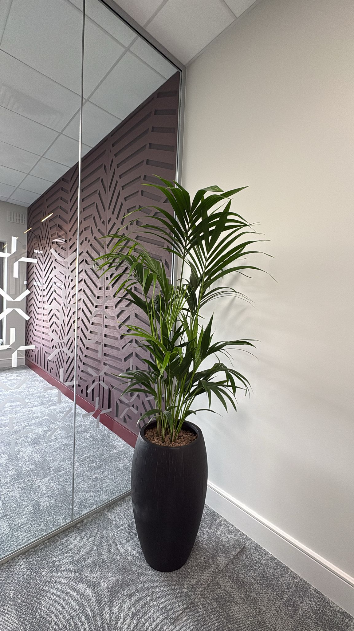 MCLA Office Fit-Out Naas