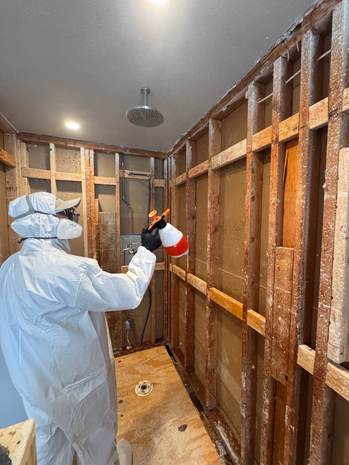 Technician documenting moisture readings at exposed studs