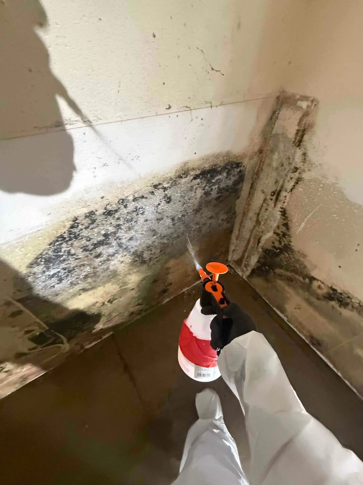 Job photo, sewage clenup