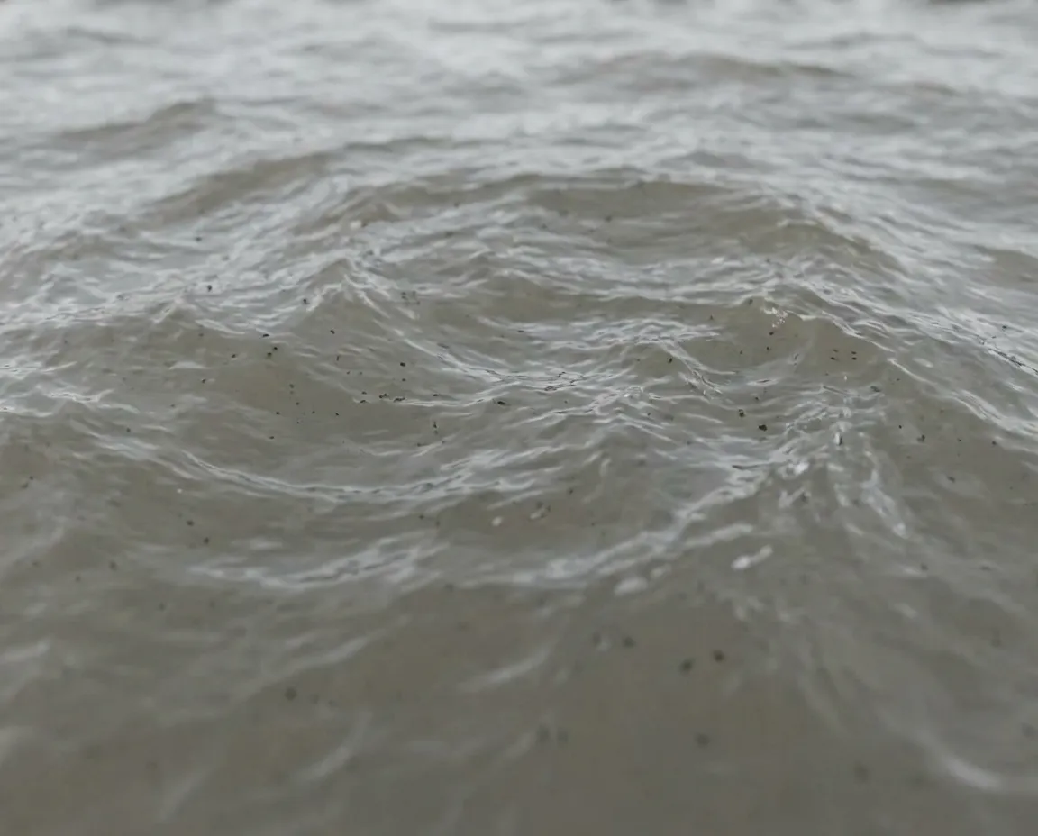 Category 2 gray water: cloudy grey water carrying fine sediment