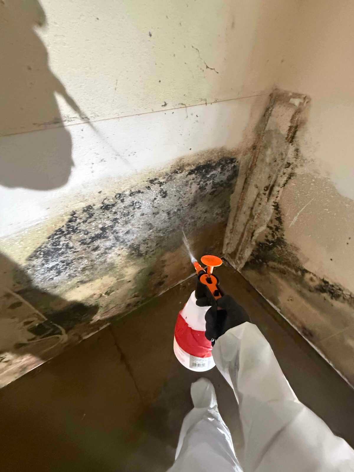 Job photo, sewage clenup