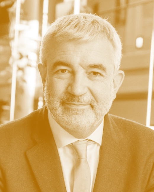 Luis Garicano