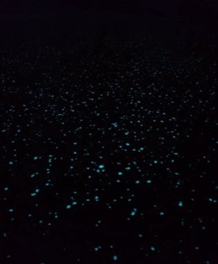 Glow in the dark glitter