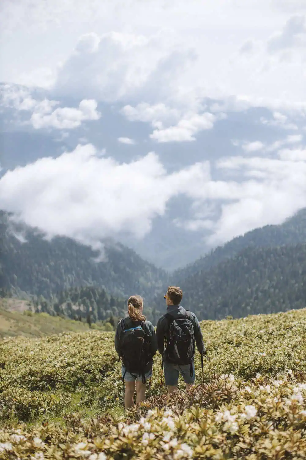 Two hikers with backpacks looking out over a cloud-filled mountain valley from a wildflower meadow.
